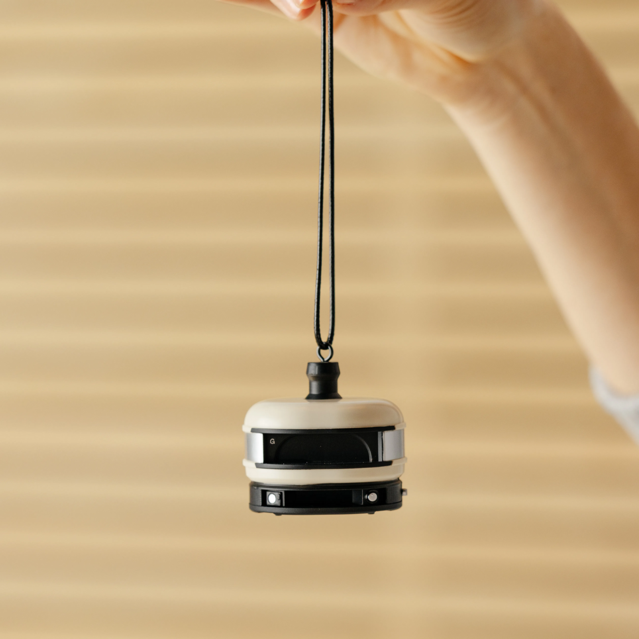 Ornament.png