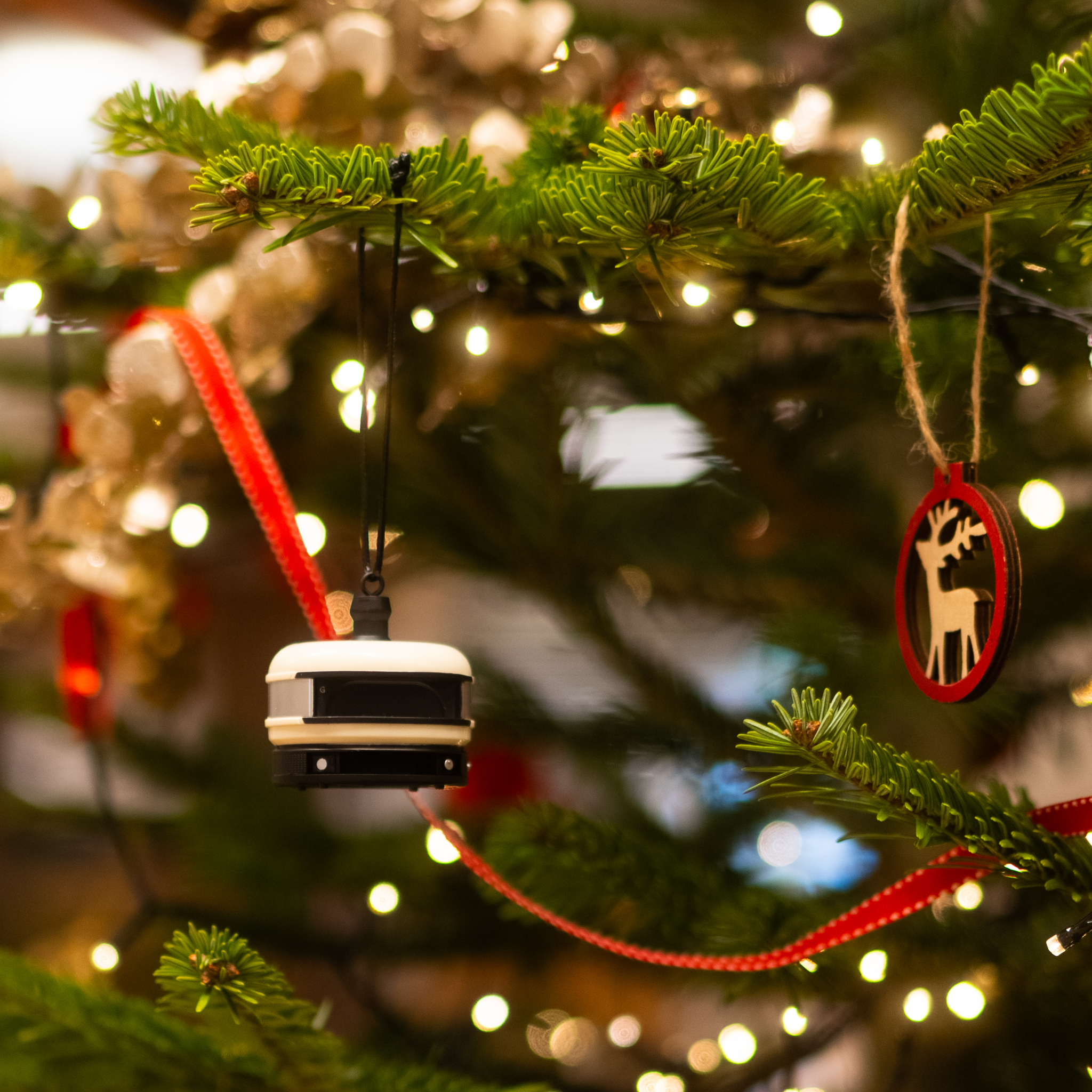 Ornament_5.png